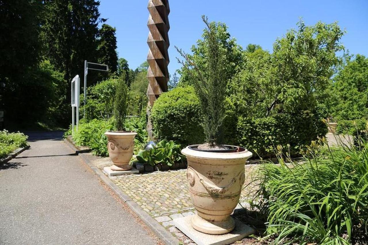 Villa Hedwig Badenweiler Esterno foto