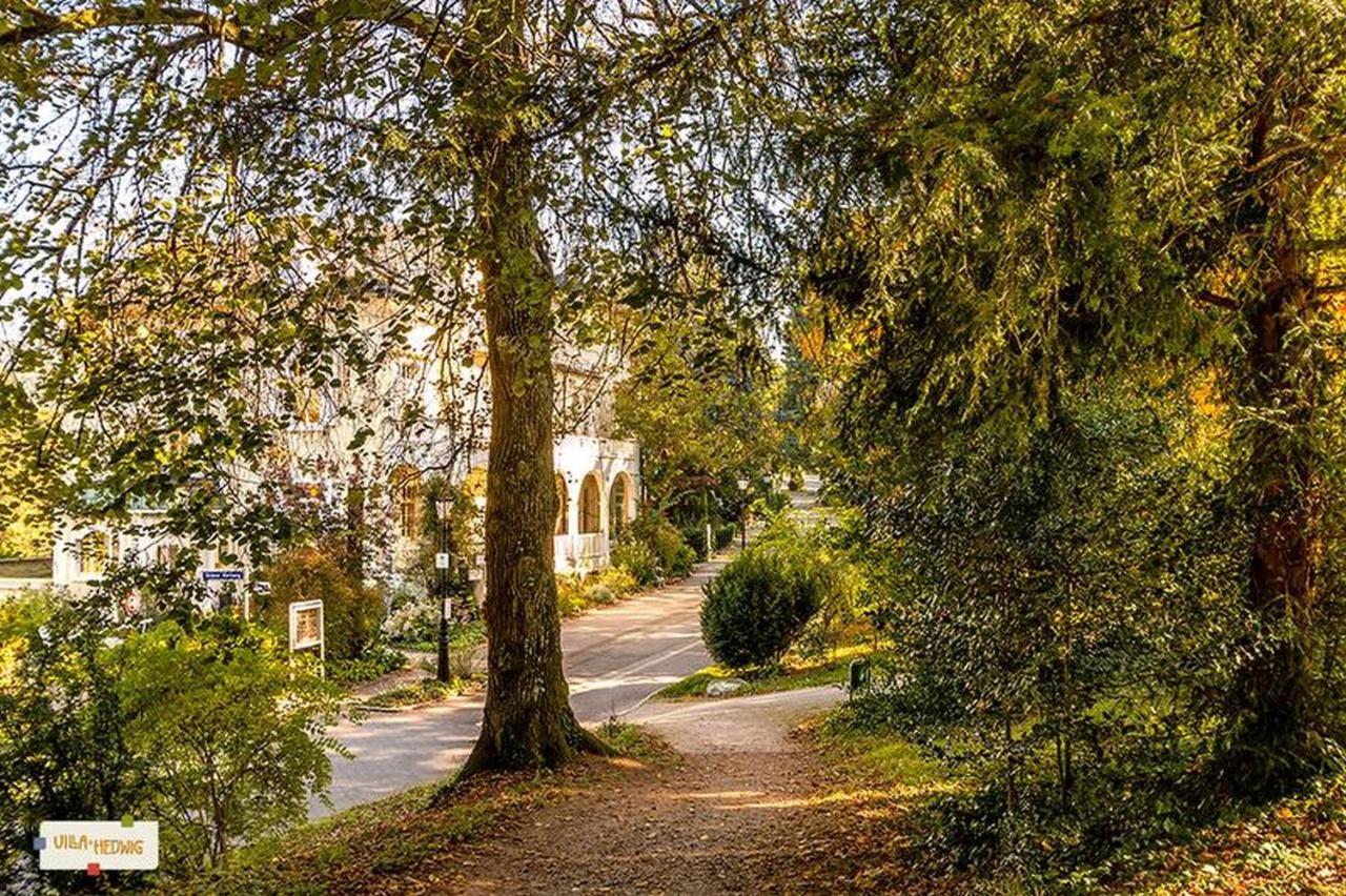 Villa Hedwig Badenweiler Esterno foto