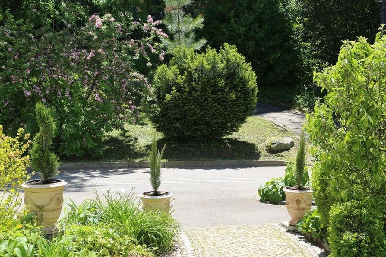 Villa Hedwig Badenweiler Esterno foto